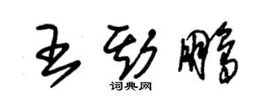朱錫榮王斯鵬草書個性簽名怎么寫