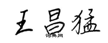 王正良王昌猛行書個性簽名怎么寫