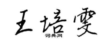 王正良王培雯行書個性簽名怎么寫