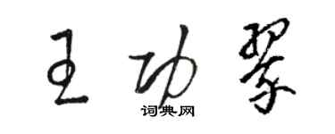 駱恆光王功翠草書個性簽名怎么寫