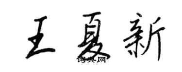 王正良王夏新行書個性簽名怎么寫