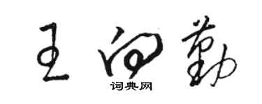 駱恆光王向勤草書個性簽名怎么寫