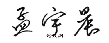 駱恆光孟宇晨草書個性簽名怎么寫