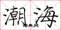龐中華潮海楷書怎么寫
