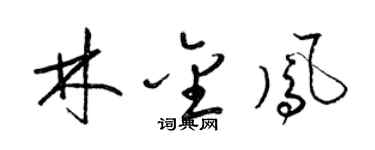 梁錦英林金鳳草書個性簽名怎么寫