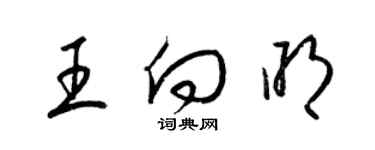 梁錦英王向明草書個性簽名怎么寫