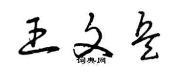 曾慶福王文兵草書個性簽名怎么寫