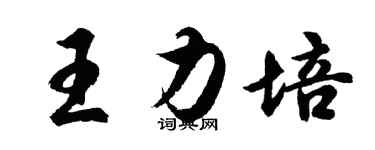 胡問遂王力培行書個性簽名怎么寫