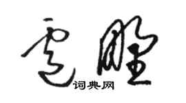 駱恆光盧野草書個性簽名怎么寫