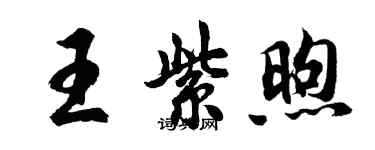胡問遂王紫煦行書個性簽名怎么寫