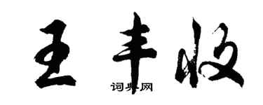 胡問遂王豐收行書個性簽名怎么寫