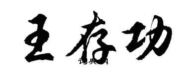 胡問遂王存功行書個性簽名怎么寫