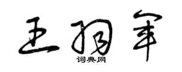 曾慶福王羽軍草書個性簽名怎么寫