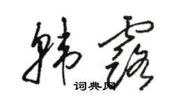 駱恆光韓露草書個性簽名怎么寫