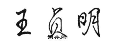 駱恆光王貞明行書個性簽名怎么寫