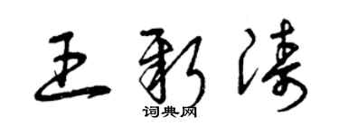 曾慶福王新濤草書個性簽名怎么寫