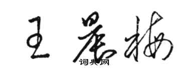 駱恆光王晨梅草書個性簽名怎么寫