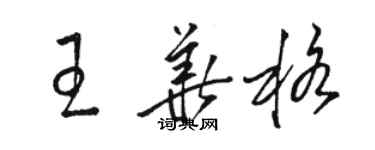 駱恆光王華格草書個性簽名怎么寫