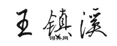 駱恆光王鎮溪行書個性簽名怎么寫