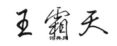 駱恆光王霜天行書個性簽名怎么寫