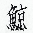 白克儉寫的硬筆楷書鯨