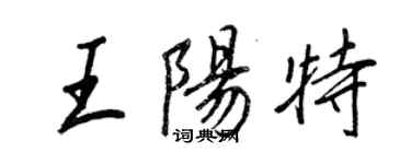 王正良王陽特行書個性簽名怎么寫