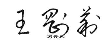 駱恆光王剛莉草書個性簽名怎么寫