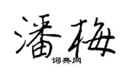 王正良潘梅行書個性簽名怎么寫