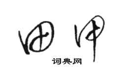 駱恆光田甲草書個性簽名怎么寫