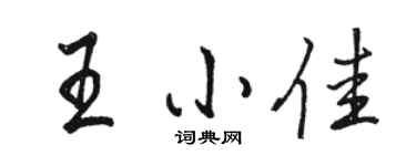 駱恆光王小佳行書個性簽名怎么寫