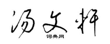 梁錦英湯文軒草書個性簽名怎么寫