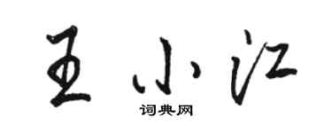 駱恆光王小江行書個性簽名怎么寫