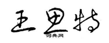 曾慶福王思特草書個性簽名怎么寫