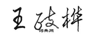 駱恆光王政樺行書個性簽名怎么寫