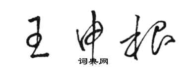 駱恆光王申根草書個性簽名怎么寫