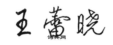 駱恆光王蕾曉行書個性簽名怎么寫