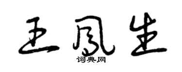 曾慶福王鳳生草書個性簽名怎么寫