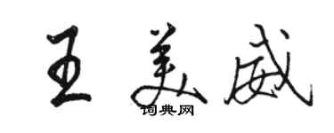 駱恆光王美威行書個性簽名怎么寫