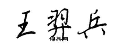 王正良王羿兵行書個性簽名怎么寫