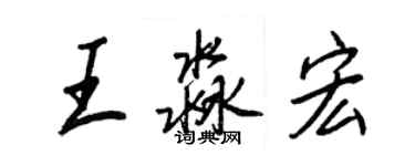 王正良王淼宏行書個性簽名怎么寫