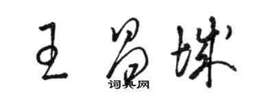 駱恆光王昌城草書個性簽名怎么寫