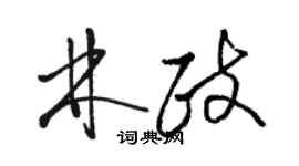 駱恆光林政草書個性簽名怎么寫