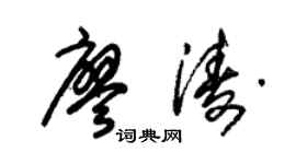 朱錫榮廖濤草書個性簽名怎么寫