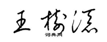 梁錦英王樹添草書個性簽名怎么寫