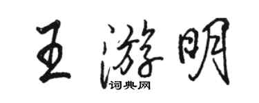 駱恆光王游明行書個性簽名怎么寫