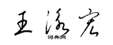 梁錦英王泳宏草書個性簽名怎么寫