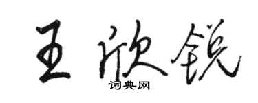 駱恆光王欣銳行書個性簽名怎么寫