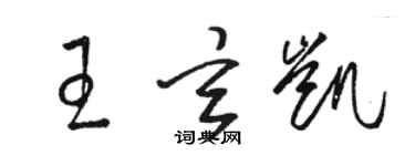 駱恆光王玄凱草書個性簽名怎么寫