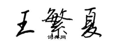王正良王繁夏行書個性簽名怎么寫