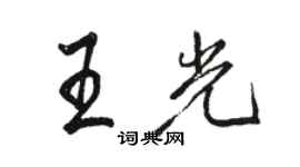 駱恆光王光行書個性簽名怎么寫